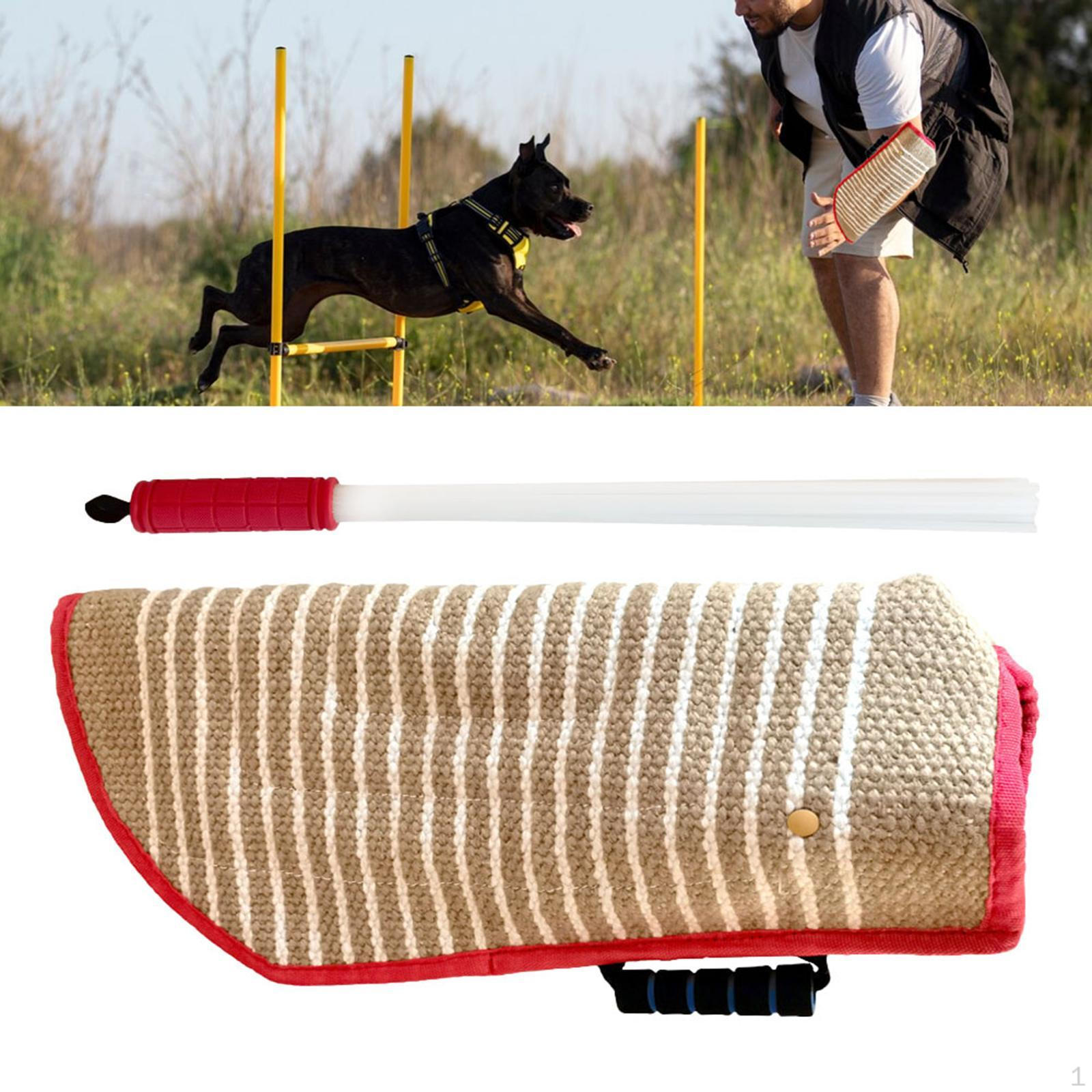 

Комплект снаряжения для дрессировки активных щенков