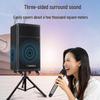 SANSUI TE12 12-inch Portable Outdoor Karaoke Speaker (CN Version)