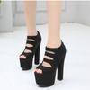 2025 17Cm Catwalk Shoes Super High Heel Thick Heel Sandals  High Back Zipper Black High Heels Women's Summer ZYW-628-1