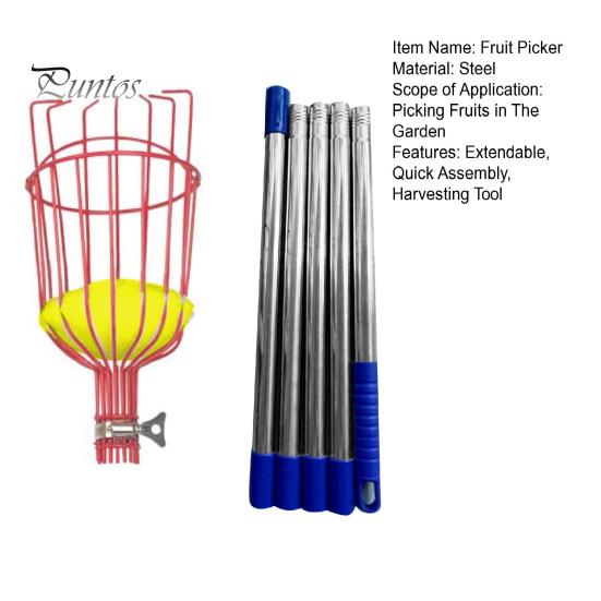 Fruktplockarstång Teleskopisk skarvbar stång med korg Metall Utdragbar plockstång Trädgårdsredskap för att skörda äpplen Apelsiner Avokado från High