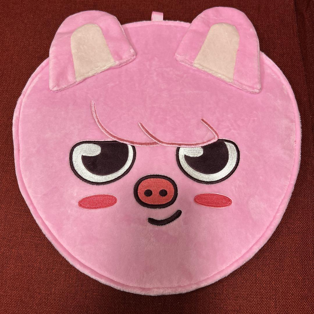 

[USED] Straykids 5-STAR Fan Case DWAEKKI Changbin