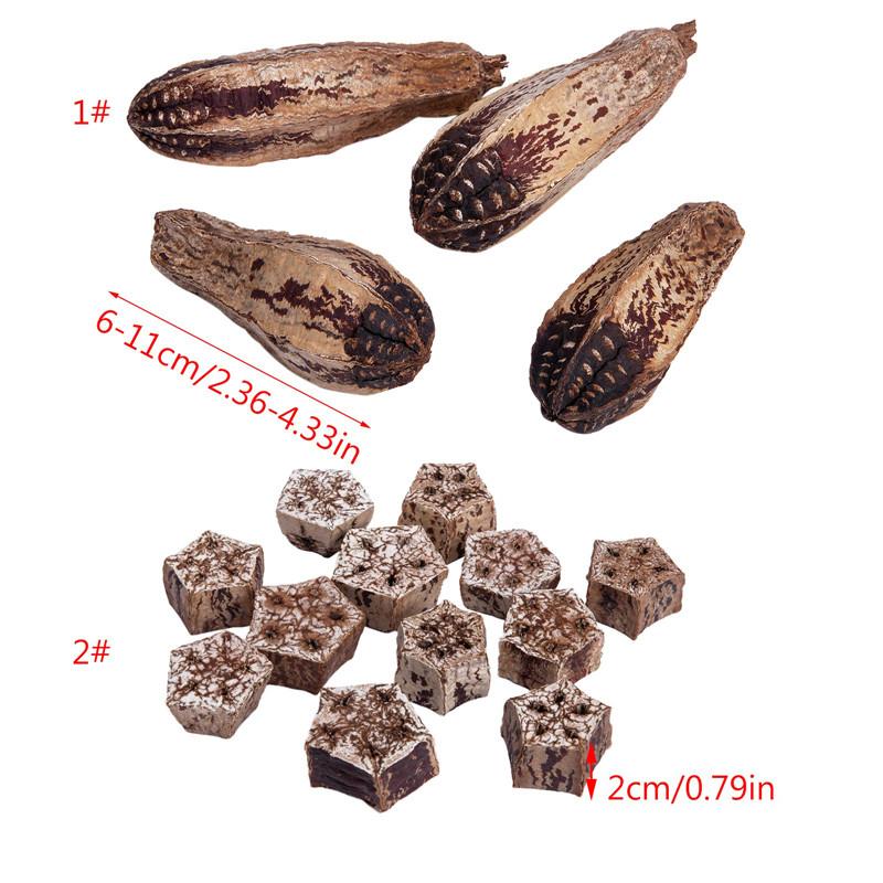 Bird Parrot Toy Natural Chew Toys Dried Star Fruit Cage Accessories for Hamsters Gerbils Chipmunks Small & Medium Birds