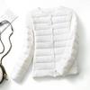 Down Jacket Women's Light and Thin Short Round Neck Long-sleeved Korean Version Large Size Slim V-neck Jacket