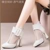 Fashion High Appearance Level Thick Sole Thick Heel Pointed Mesh Fabric Fashion All Comfortable Non-slip Breathable Women's Ankle Boots