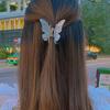 Butterflies Shape Gradient Color Hair Claw Acetic Acid Stable Sweet Big Hair Clip Styling Tool
