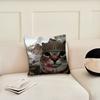Meme Rosa Schleife Katzen Lustiger Kissenbezug Kissenbezug Dekoration Zimmer Zuhause Sofa Wohnzimmer Büro Auto Nordische Schlichtheit