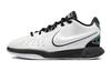 LeBron 21 Conchiolin GS FZ7189-100