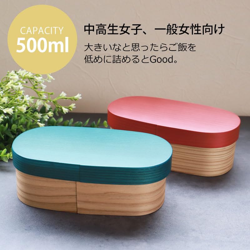 bento box made from Kyushu 500ml oval single natural wood urethane Cute and Japanese-made (URARA) cedar, capacity, shape, layer, stylish, finish,