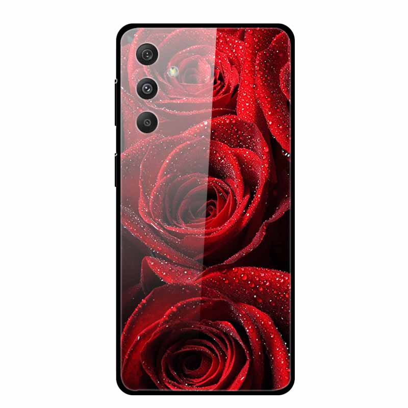 For Samsung Galaxy S25 Plus Case Hard Back Cover Tempered Glass Case For Samsung S25 Plus M55 A16 5G Phone Case Soft TPU Bumper