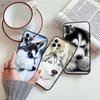 RE36 Husky Puppy Dog Case for Motorola Edge 60 60s 70 G86 G56 G54 E14 G04S G45 G54 G64 S30 S50 X30 X40 X50 Pro Power