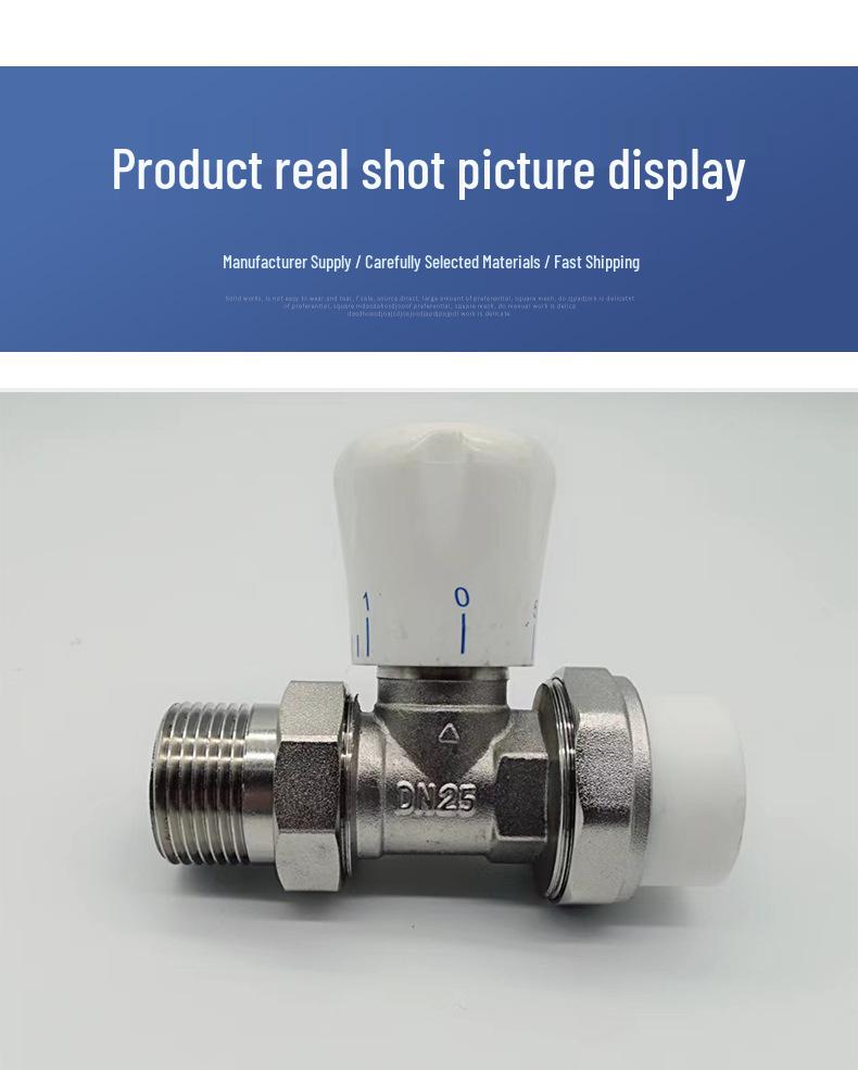 PPR Vertical Radiator Heat Dissipation Temperature Control Valve for Underfloor Heating and Home Improvement