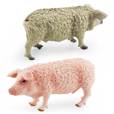 אספנות ודגמים – דגמים