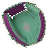 Rawlings Baseball Soft HOH UV GAPHIC N6 BASIC 33 inches Glove, Baseball, Catcher's Glove, GR6HUV2AC, Mint, (Right-handed throw)