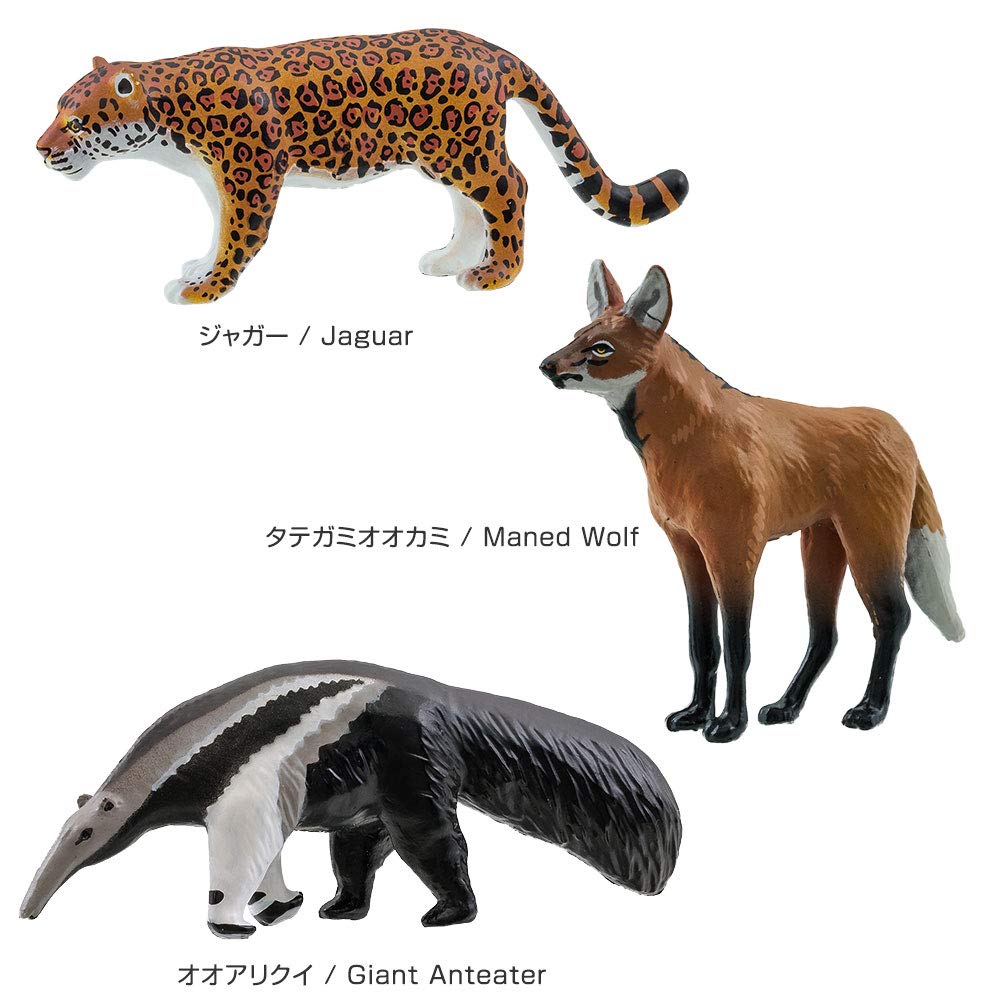 Calorata Tiergeographie Zone 4 Figur 3D Enzyklopädie und Australisch 12 Enthält Realistische Figur Box Pädagogisch Lebensmittelhygienegesetz Geschenk