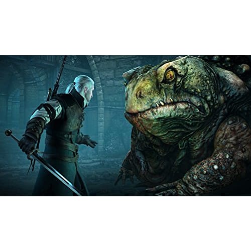 The Witcher 3 Wild Hunt Game of the Year Edition [CERO Rating "Z"] - PS4