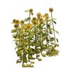 Watako Diorama Accessory Series 1/48 Sunflower
