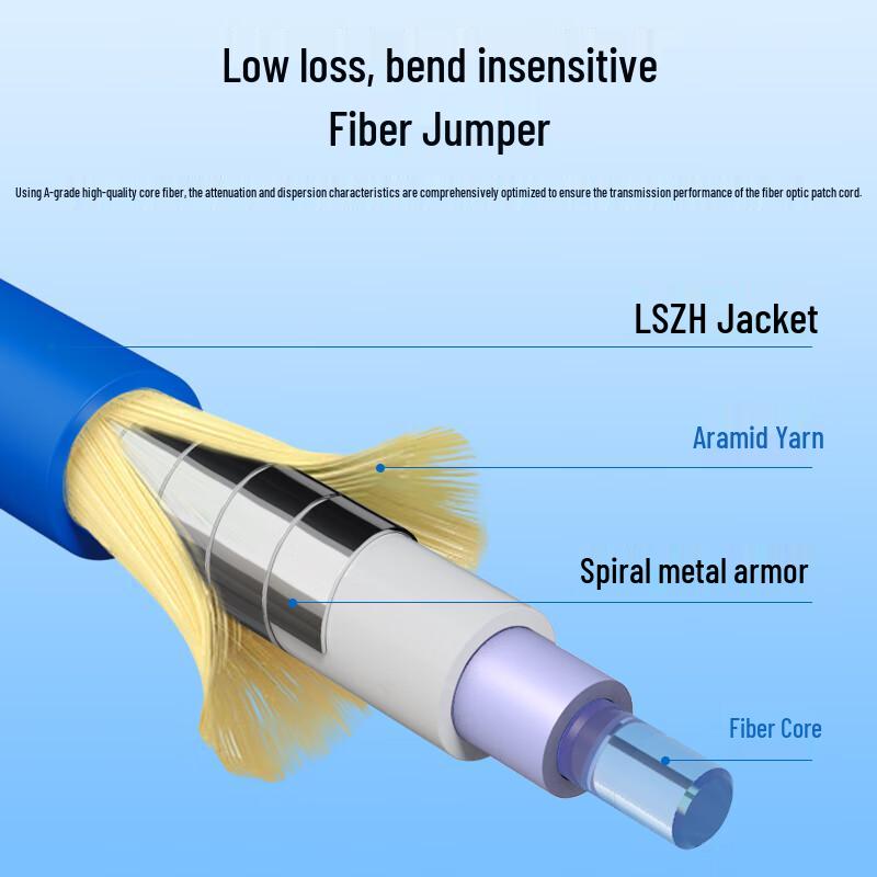 Zhongke Optoelectronics 2-Core Armored FC-FC Single-Mode Fiber Optic Patch Cable