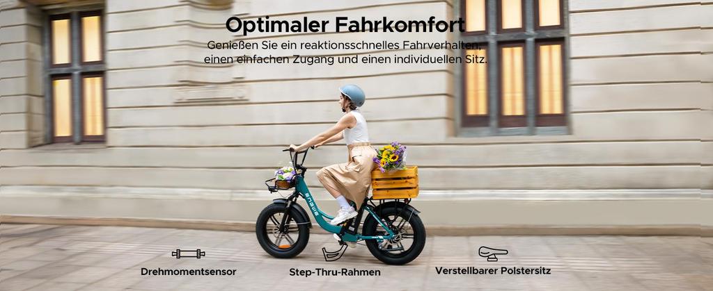 ENGWE electric bike, 250W motor, 48V 13Ah battery, 20 x 4.0 wide tires, range up to 120 km, 7 speeds, top speed 25 km/h (L20/L20 Boost mode).