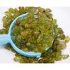 Natural Green Peridot Loose Gemstone Rough Lot