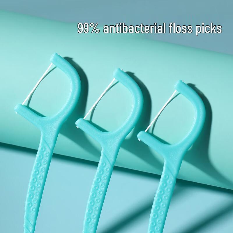 RAOYI Silver Ion Antibacterial Dental Floss Picks