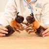 Adorable Sleepy Ant Plush Toy - Soothing Stuffed Animal Doll for Kindergarten