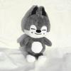 SKZOO Plush Hug Pillow Doll Fans Gift Teddy Style Plush Toy Seoul FM Week Cloak Doll Magic School Kid Birthday Gift