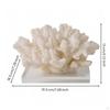 Resin and Glass Coral Ornament Textured for Living Room Cabinet