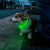 70cm USB Rechargeable LED Dog Collar for Small Medium Large Dogs