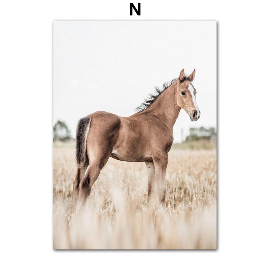 

Сушеный цветок, морская трава, тростник, пшеница, одуванчик, лошадь, настенная живопись на холсте, печать, постеры, настенные панно для гостиной, домашний декор 40x50cm No Frame