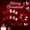24pcs Christmas Themed False Nail With Candy Cane Snowflake Designs Easy Application ABS False Nail for Women Party