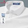 T-shirts e tops – Camisas polo