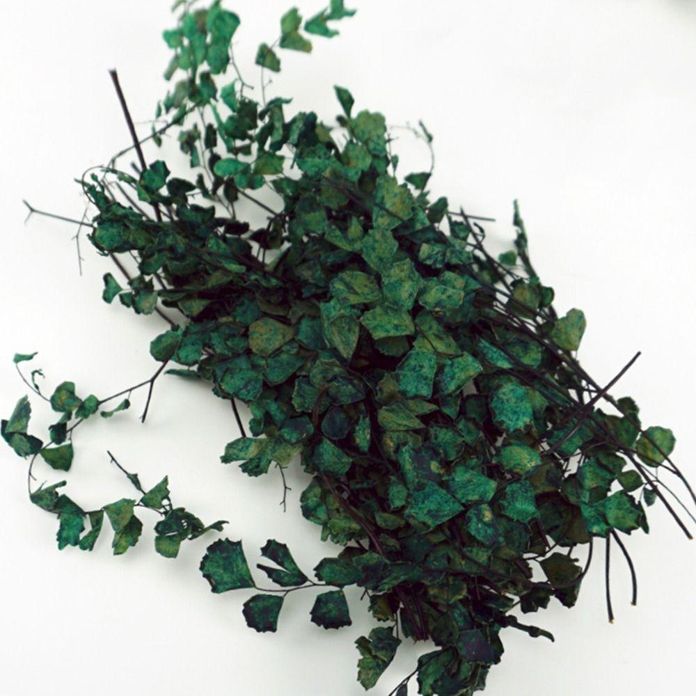 Sand Table Vegetation Scene Model Micro Landscape Simulation Rattan Leaves Miniature Plant Creepers