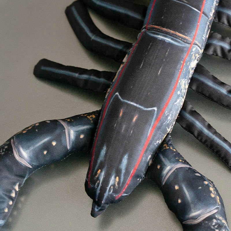 Dulton Fishes European Lobster 45 Fish Cushion for Everyday Life Large Body Pillow Marine Life Nordic gammarus FISHES Total Length 45cm