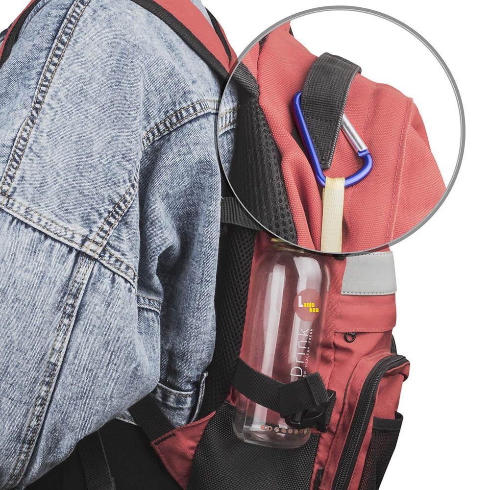 Quick-release Lightweight D-shape Keychain Hiking Camping Keychain Carabiner Buckle Hook