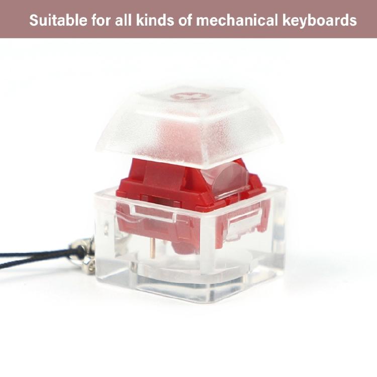 10PCS Switches Tester Keyboard Switches Sampler Enhances Typing 1-Key Switches Testing Keychain Translucent