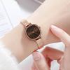 Niche High-End Women'S Watch, Simple Waterproof Stainless Steel Quartz Student Watch, Versatile Women'S Watch
