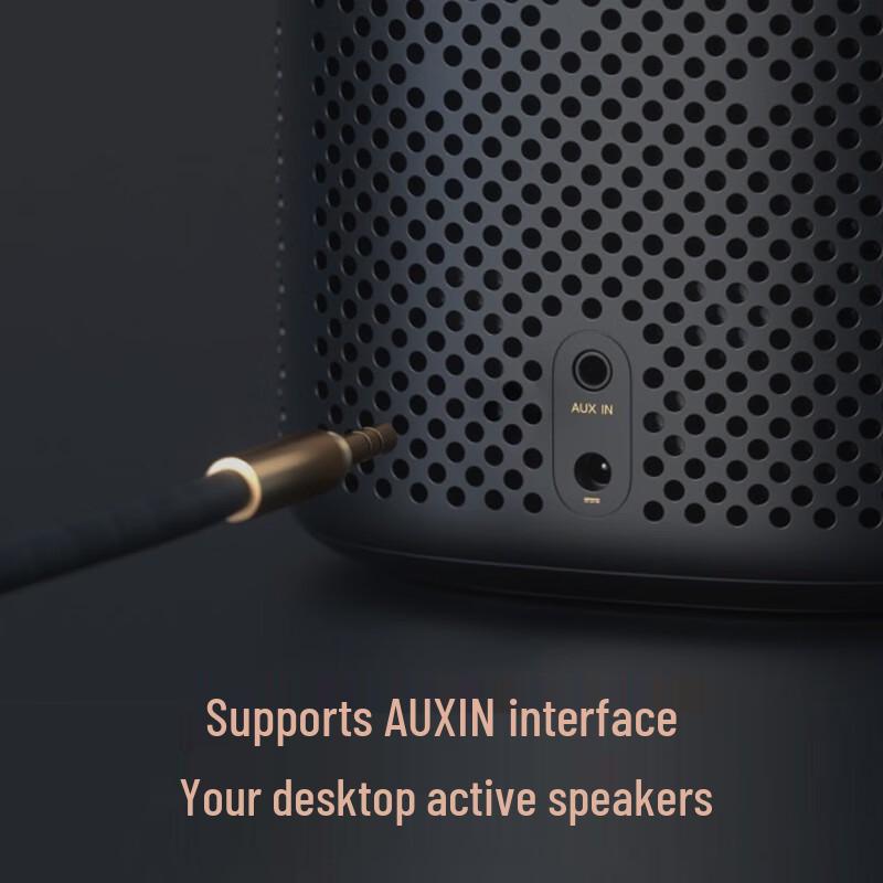 Xiaomi Xiaoai Smart Speaker Pro