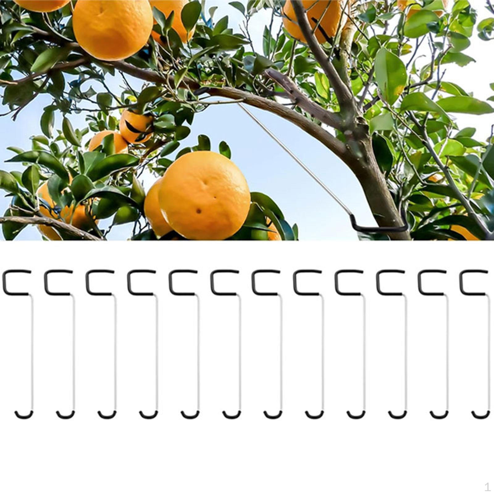 

Fruit Tree Branch Spreaders Branches Puller Metal, Accessories, Open Angle, Professional Trees