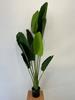 Artificial Banana Palm Tree Exotic Plant In A Realistic Pot 150Cm
