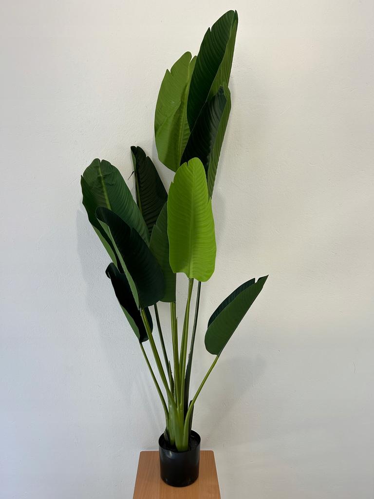 Artificial Banana Palm Tree Exotic Plant In A Realistic Pot 150Cm