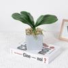 Simulation Phalaenopsis Leaf Artificial Plants Soft Rubber Phalaenopsis Leaf for Flowers Garden Bonsai Decor