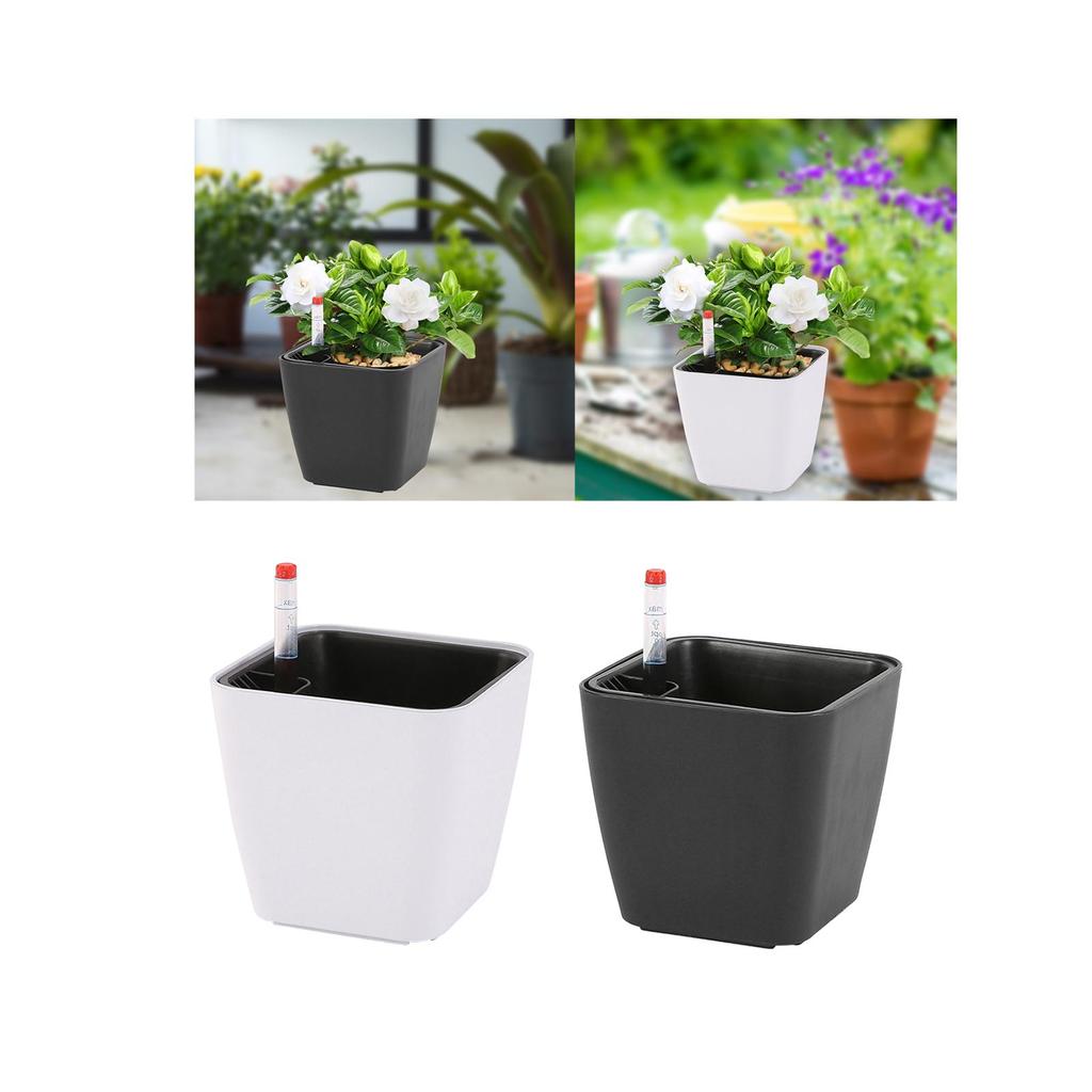 Pp Self Watering Plant Pot with Water Level Indicator Flower Pot