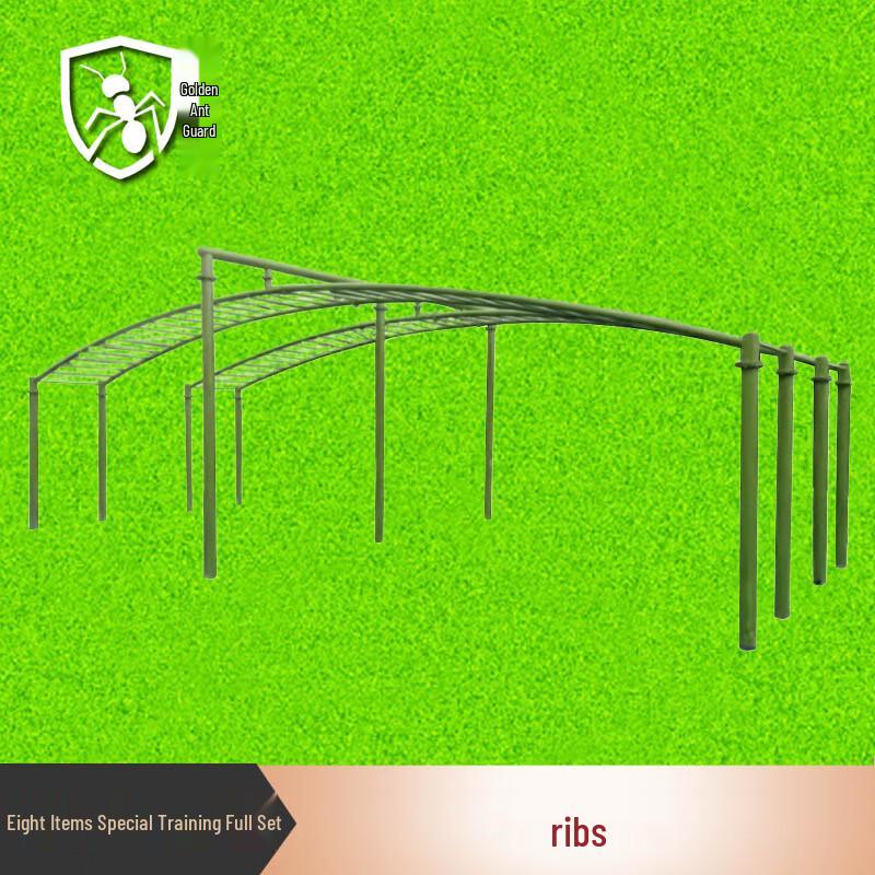 Golden Ant Guard Obstacle Course Training Set