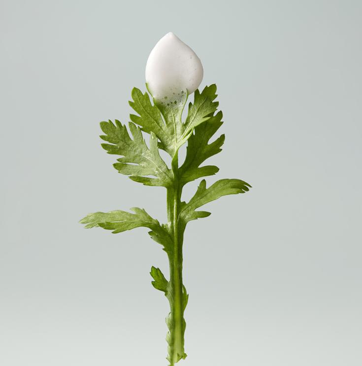 Whipped Mugtree Vegan Whipping Bubble Serum 92ml Soothing Sensitive Skin Serum