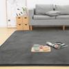 Carpet Extra Thick 200x250cm 3 Tatami Dust Mite Odor Low Soft and Fluffy To the Compatible with Heated Same Thickness As Memory Foam