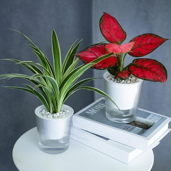 Vaso de Flores Autoirrigável Plástico Listrado com Cordas de Pavio Reservatório de Água Vaso para Plantas de Interior para Mesa Escritório Decoração de Casa