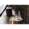 Hirota Glass Sake Bottle and Sake Cup Set Edo Glass EDO-17