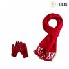 EILEI6050 Warm Winter Gloves Scarf Set