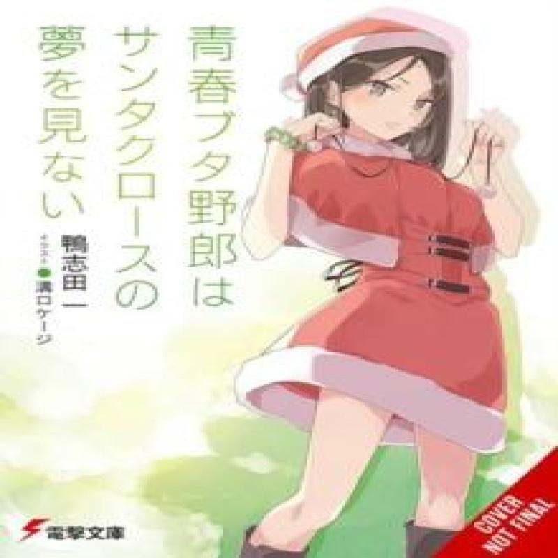 Rascal Does Not Dream of Santa Claus light novel by Keji Mizoguchi... 9781975391607