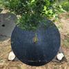 Mulching disc Winter protection Crop protection cover Disc Frost protection Cold